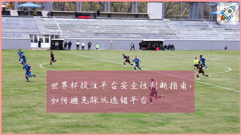世界杯投注平台安全性判断指南，如何避免踩坑选错平台