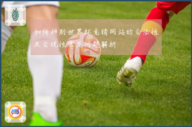 如何辨别世界杯竞猜网站的合法性及合规性常见问题解析