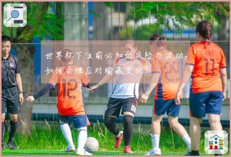 世界杯下注前必知的风险与波动，如何合理应对输赢变化？
