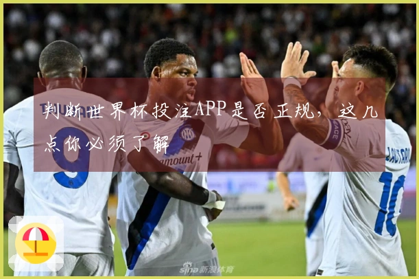判断世界杯投注APP是否正规，这几点你必须了解