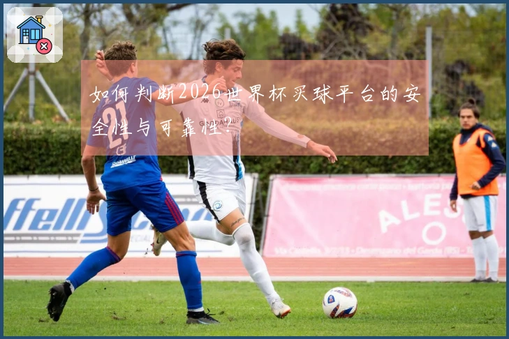 如何判断2026世界杯买球平台的安全性与可靠性？