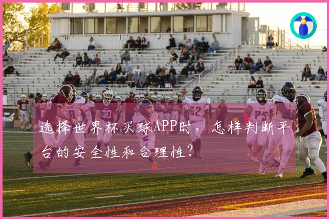 选择世界杯买球APP时，怎样判断平台的安全性和合理性？