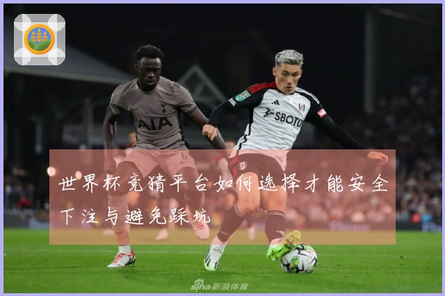 世界杯竞猜平台如何选择才能安全下注与避免踩坑