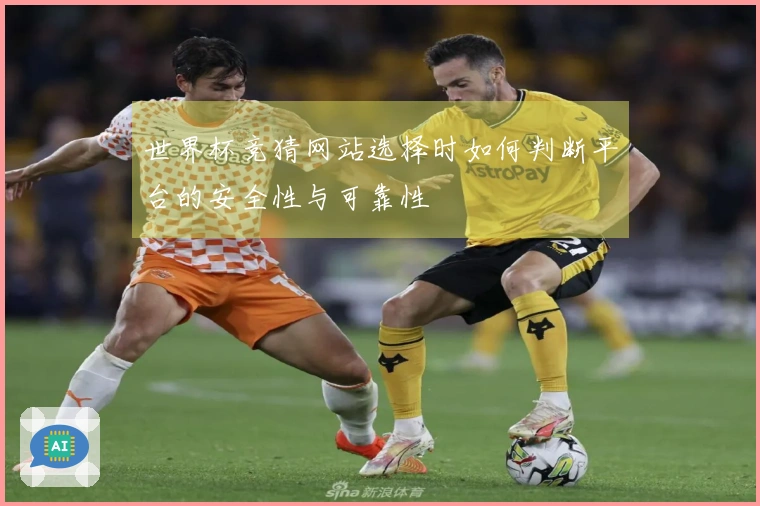 世界杯竞猜网站选择时如何判断平台的安全性与可靠性