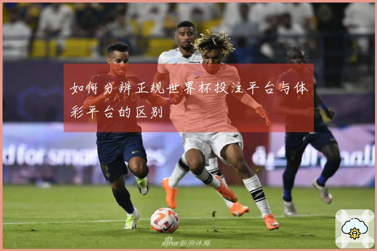如何分辨正规世界杯投注平台与体彩平台的区别