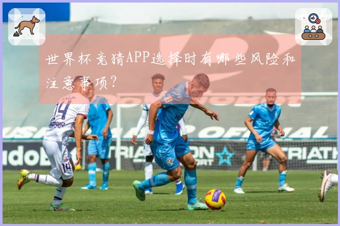 世界杯竞猜APP选择时有哪些风险和注意事项？