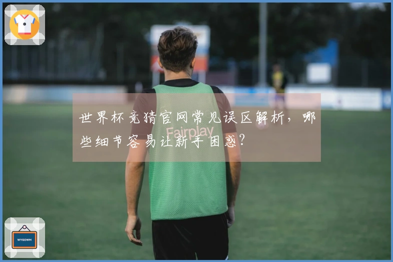 世界杯竞猜官网常见误区解析，哪些细节容易让新手困惑？