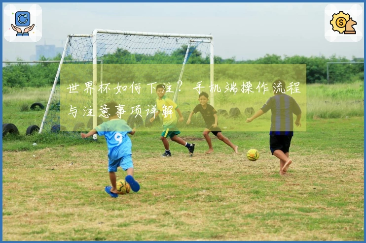 世界杯如何下注？手机端操作流程与注意事项详解