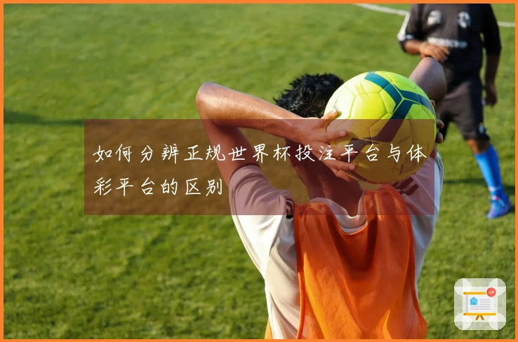 如何分辨正规世界杯投注平台与体彩平台的区别