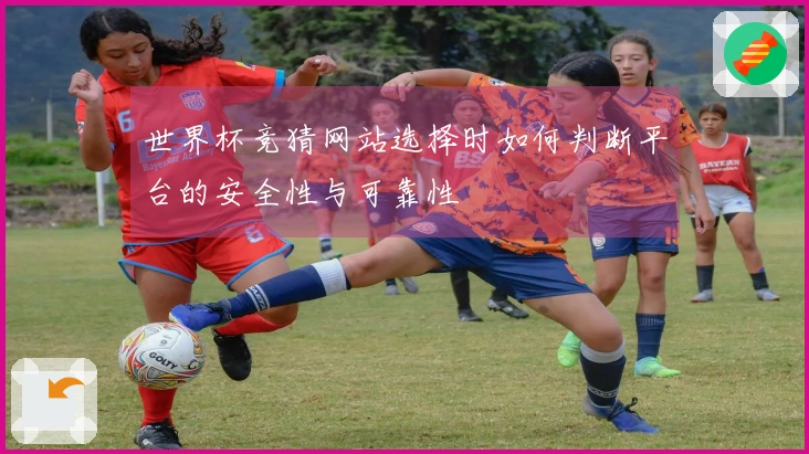 世界杯竞猜网站选择时如何判断平台的安全性与可靠性