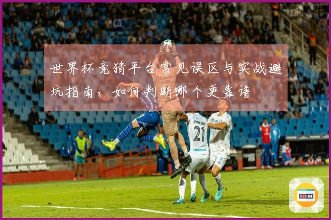 世界杯竞猜平台常见误区与实战避坑指南，如何判断哪个更靠谱