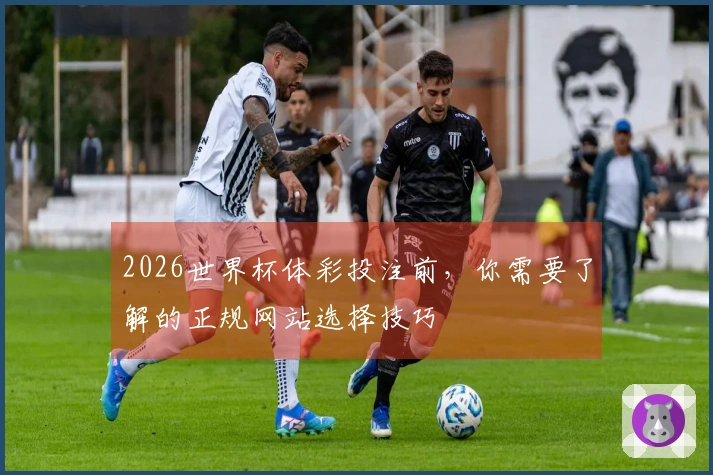 2026世界杯体彩投注前，你需要了解的正规网站选择技巧