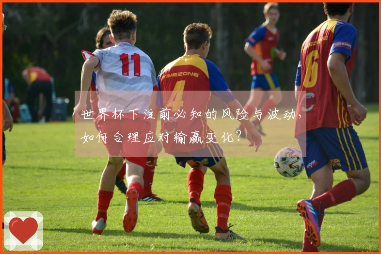 世界杯下注前必知的风险与波动，如何合理应对输赢变化？