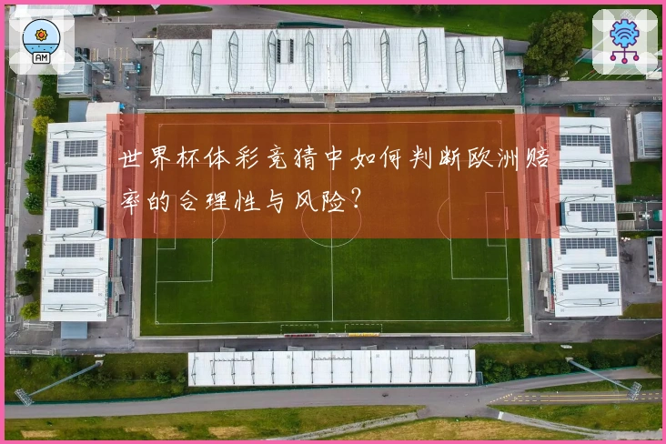 世界杯体彩竞猜中如何判断欧洲赔率的合理性与风险？