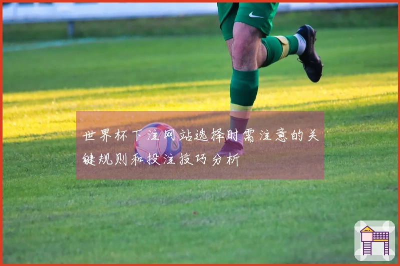 世界杯下注网站选择时需注意的关键规则和投注技巧分析