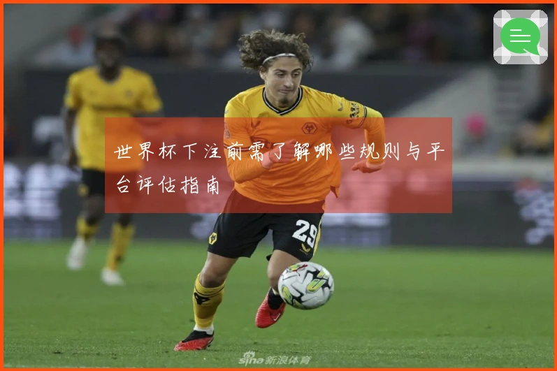 世界杯下注前需了解哪些规则与平台评估指南