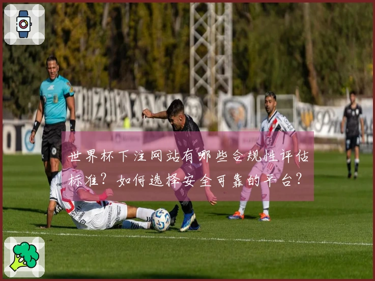 世界杯下注网站有哪些合规性评估标准？如何选择安全可靠的平台？
