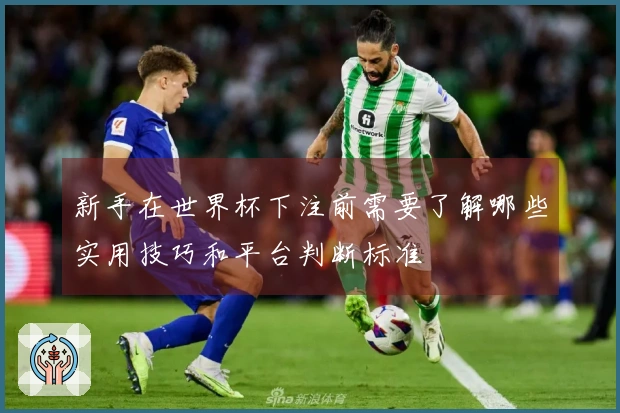 新手在世界杯下注前需要了解哪些实用技巧和平台判断标准