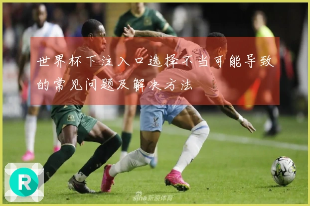 世界杯下注入口选择不当可能导致的常见问题及解决方法