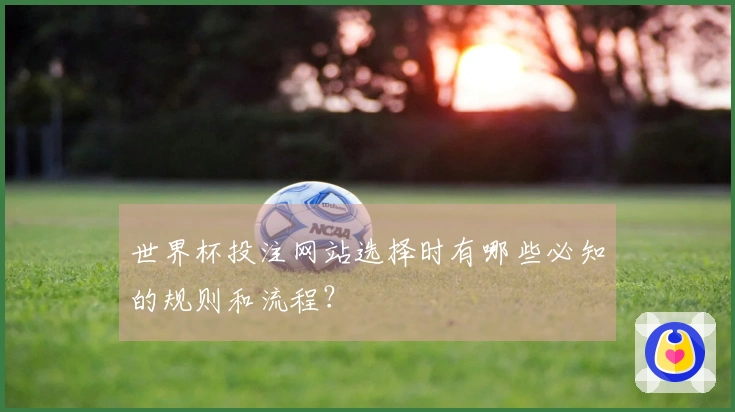 世界杯投注网站选择时有哪些必知的规则和流程？