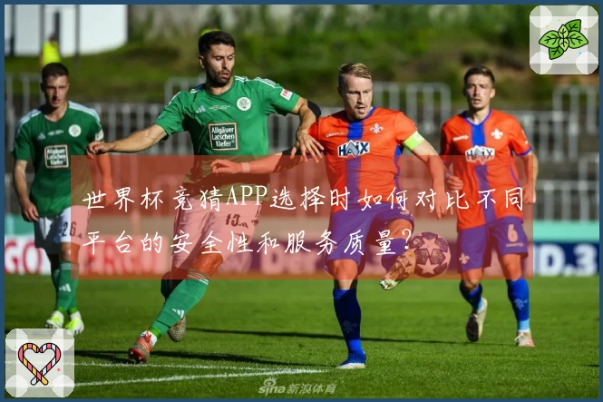 世界杯竞猜APP选择时如何对比不同平台的安全性和服务质量？