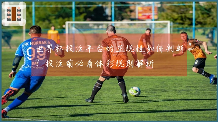 世界杯投注平台的正规性如何判断？投注前必看体彩规则解析