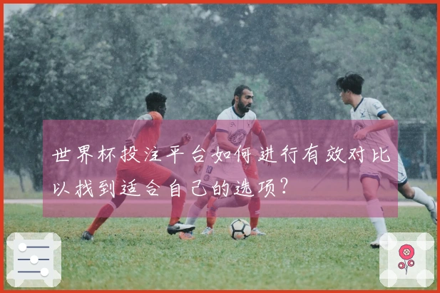 世界杯投注平台如何进行有效对比以找到适合自己的选项？