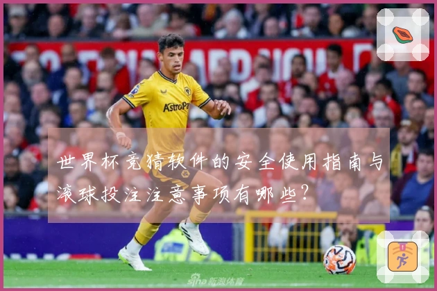 世界杯竞猜软件的安全使用指南与滚球投注注意事项有哪些？