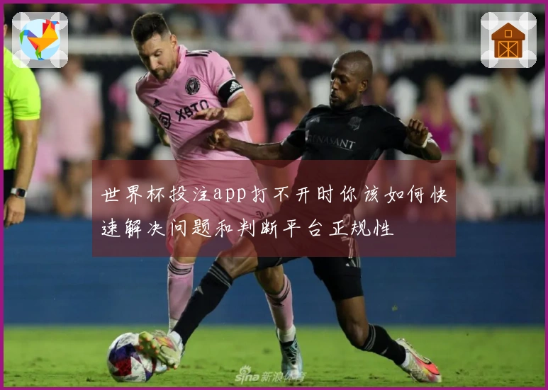 世界杯投注app打不开时你该如何快速解决问题和判断平台正规性