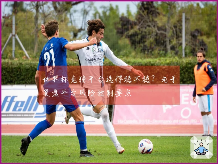 世界杯竞猜平台选得稳不稳？老手复盘平台风险控制要点