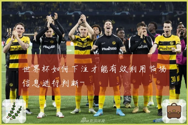 世界杯如何下注才能有效利用临场信息进行判断-