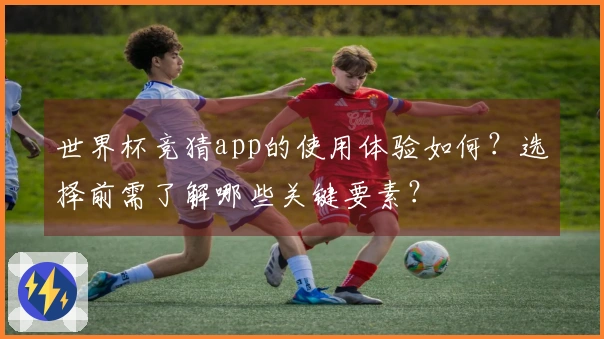 世界杯竞猜app的使用体验如何？选择前需了解哪些关键要素？